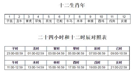 十二地支 時間|十二地支时间 地支时间对照表